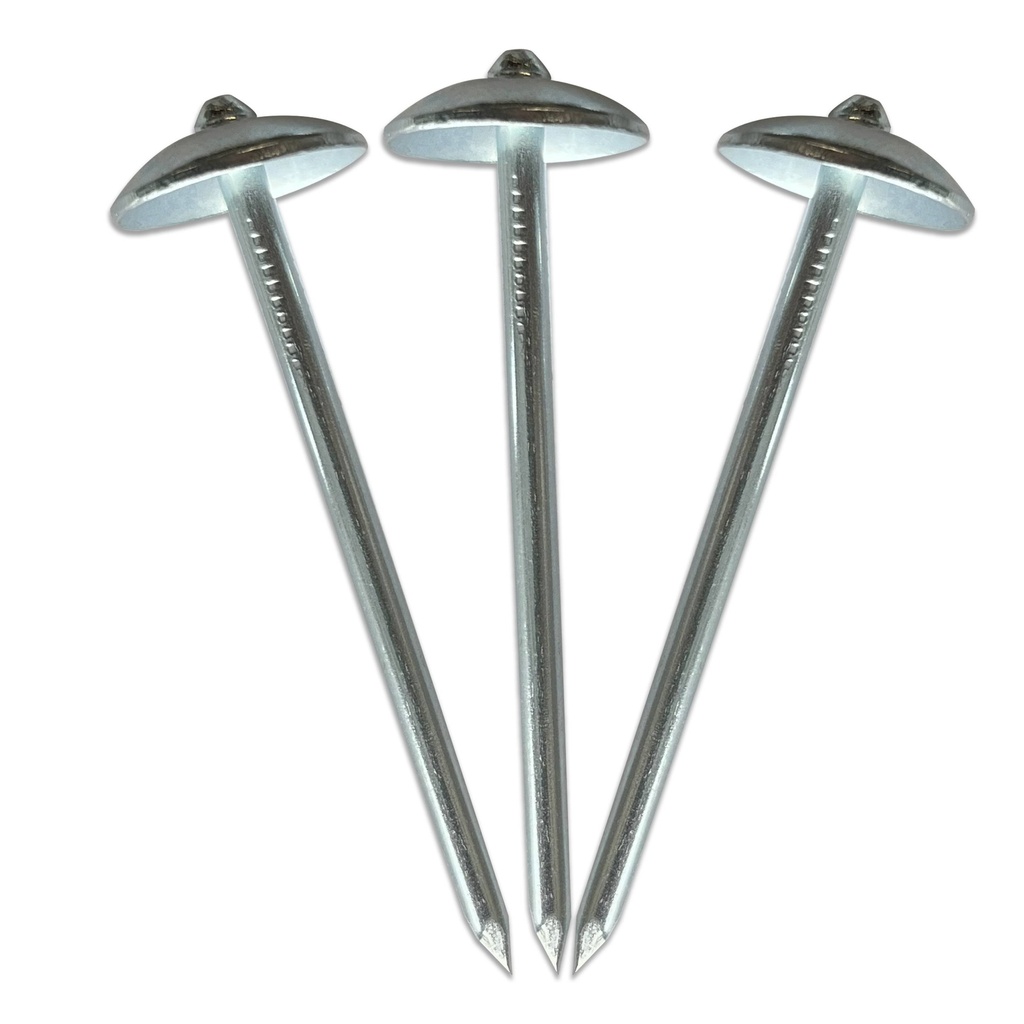 3.15*60*18mm Ethiopia Smooth Shank Iron Electric Galvanized Umbrella Roofing Corrugated Nails